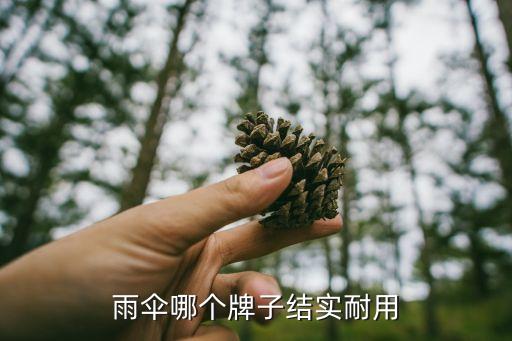 雨傘哪個牌子結實耐用