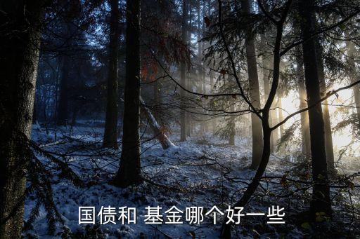  國債和 基金哪個(gè)好一些