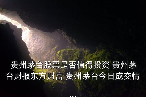 貴州茅臺酒股份有限公司2013年財(cái)務(wù)報(bào)表