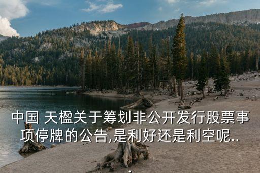中國(guó) 天楹關(guān)于籌劃非公開發(fā)行股票事項(xiàng)停牌的公告,是利好還是利空呢...