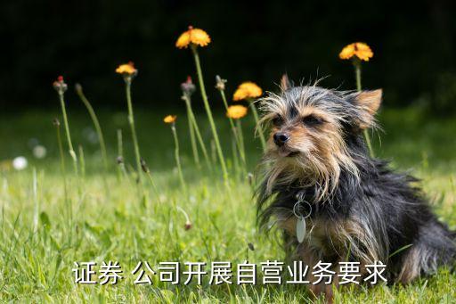 證券 公司開展自營業(yè)務要求