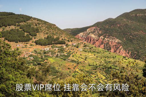 股票VIP席位 掛靠會不會有風險