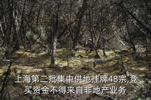  上海第二批集中供地掛牌48宗,競買資金不得來自非地產業(yè)務
