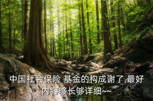 目前社?；鹨?guī)模,社?；鹨?guī)模2022