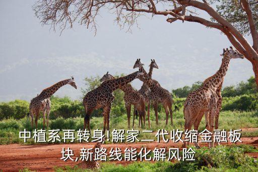 中植系再轉身!解家二代收縮金融板塊,新路線能化解風險