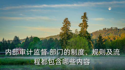 內(nèi)部審計(jì)監(jiān)督 部門的制度、規(guī)則及流程都包含哪些內(nèi)容