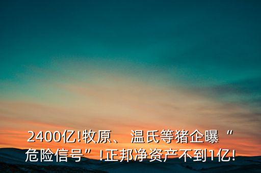 2400億!牧原、 溫氏等豬企曝“危險信號”!正邦凈資產(chǎn)不到1億!