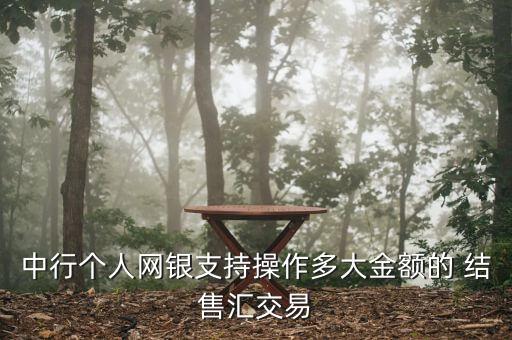 中行個人網(wǎng)銀支持操作多大金額的 結售匯交易