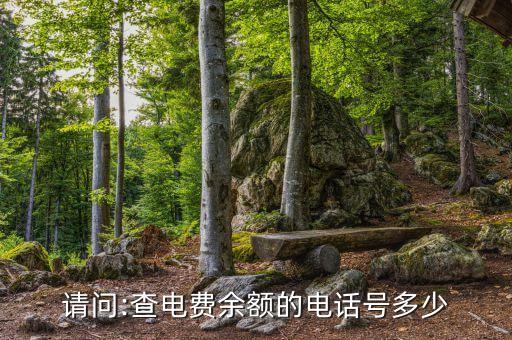 請問:查電費余額的電話號多少