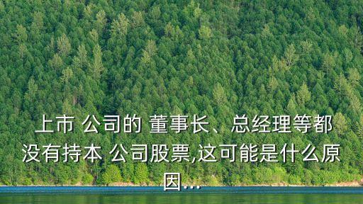  上市 公司的 董事長、總經(jīng)理等都沒有持本 公司股票,這可能是什么原因...