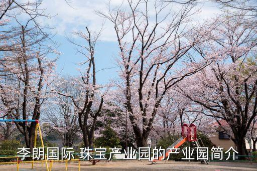 李朗國際 珠寶產(chǎn)業(yè)園的產(chǎn)業(yè)園簡(jiǎn)介