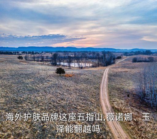 海外護膚品牌這座五指山,薇諾娜、玉澤能翻越嗎