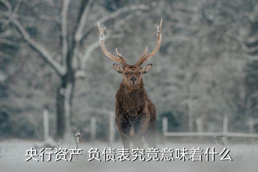 央行資產(chǎn) 負債表究竟意味著什么