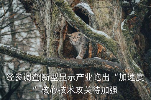 經(jīng)參調(diào)查|新型顯示產(chǎn)業(yè)跑出“加速度”核心技術攻關待加強
