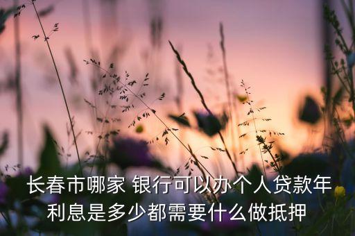  長春市哪家 銀行可以辦個(gè)人貸款年利息是多少都需要什么做抵押