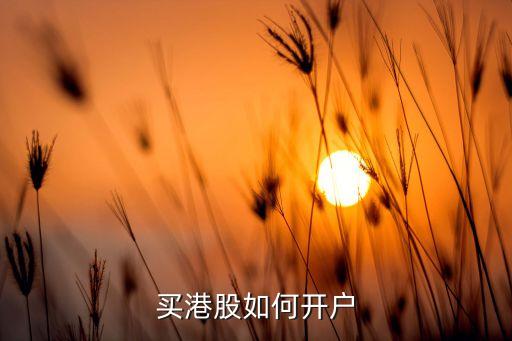 內(nèi)地怎么買(mǎi)香港股票,內(nèi)地人可以買(mǎi)香港股票嗎