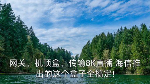 網(wǎng)關(guān)、機(jī)頂盒、傳輸8K直播 海信推出的這個(gè)盒子全搞定!