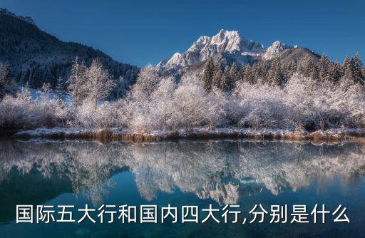 國際五大行和國內四大行,分別是什么