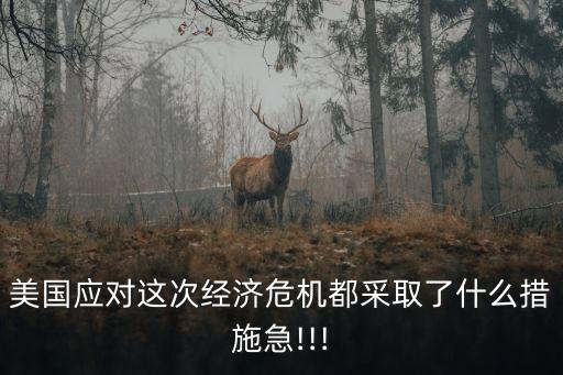 美國應(yīng)對這次經(jīng)濟危機都采取了什么措施急!!!