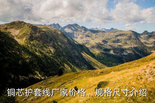 銅芯護(hù)套線廠家價(jià)格、規(guī)格尺寸介紹