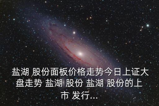  鹽湖 股份面板價(jià)格走勢(shì)今日上證大盤(pán)走勢(shì) 鹽湖 股份 鹽湖 股份的上市 發(fā)行...