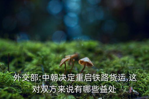 中國高鐵外交的影響,高鐵對(duì)中國的影響