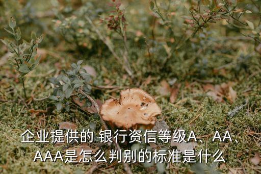 企業(yè)提供的 銀行資信等級(jí)A、AA、AAA是怎么判別的標(biāo)準(zhǔn)是什么