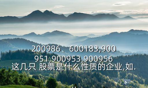 200986、600183,900951,900953,900956這幾只 股票是什么性質(zhì)的企業(yè),如...