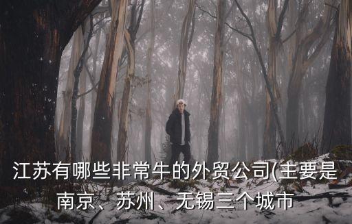 江蘇有哪些非常牛的外貿(mào)公司(主要是南京、蘇州、無錫三個城市