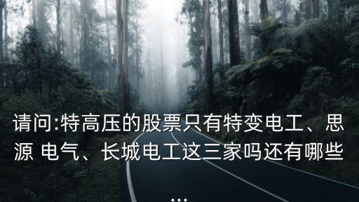 請問:特高壓的股票只有特變電工、思源 電氣、長城電工這三家嗎還有哪些...