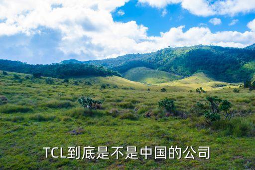 tcl集團(tuán)股份有限公司綜合評價(jià),Tcl科技集團(tuán)股份有限公司