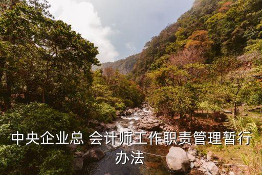 陜建機(jī)施集團(tuán)總會計(jì)師