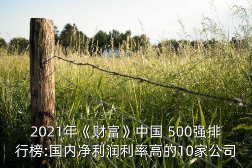 2021年《財(cái)富》中國(guó) 500強(qiáng)排行榜:國(guó)內(nèi)凈利潤(rùn)利率高的10家公司