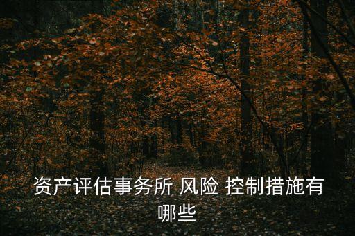  資產(chǎn)評估事務(wù)所 風(fēng)險(xiǎn) 控制措施有哪些