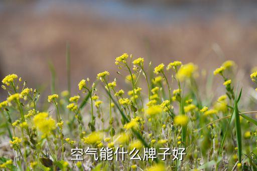 浙江開(kāi)創(chuàng)環(huán)?？萍脊煞萦邢薰?/></a></span><span id=