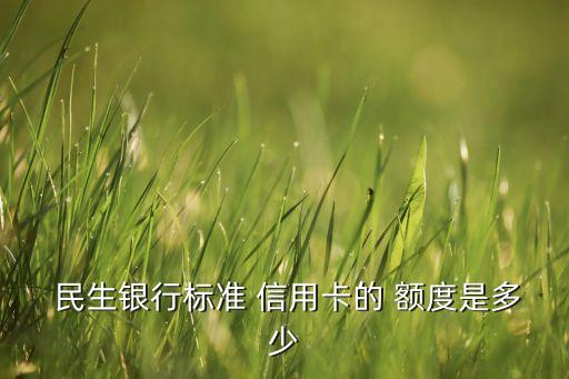  民生銀行標準 信用卡的 額度是多少
