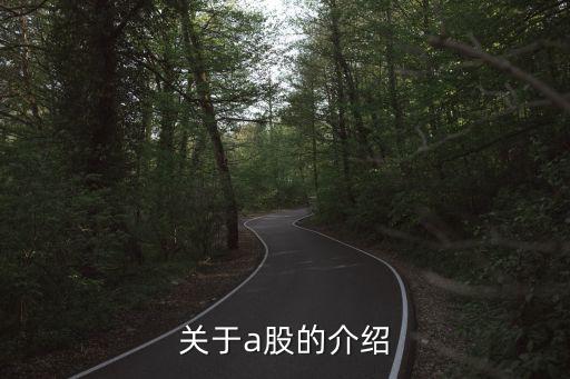 關于a股的介紹