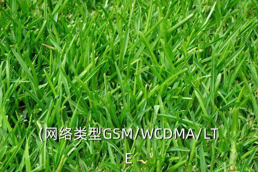 (網(wǎng)絡(luò)類(lèi)型GSM/WCDMA/LTE