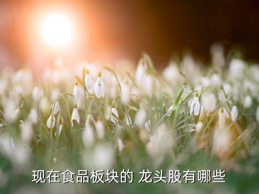 現在食品板塊的 龍頭股有哪些