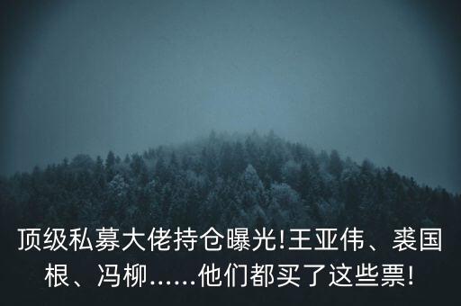 頂級私募大佬持倉曝光!王亞偉、裘國根、馮柳……他們都買了這些票!