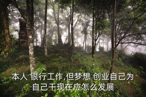 本人 銀行工作,但夢想 創(chuàng)業(yè)自己為自己干現(xiàn)在應怎么發(fā)展