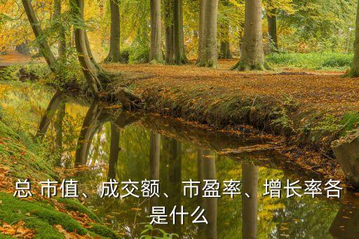 總 市值、成交額、市盈率、增長率各是什么