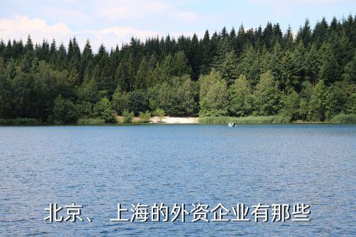 北京、 上海的外資企業(yè)有那些