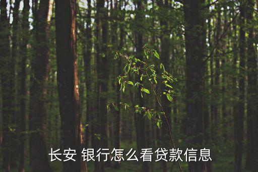 長(zhǎng)安銀行理財(cái)產(chǎn)品查詢