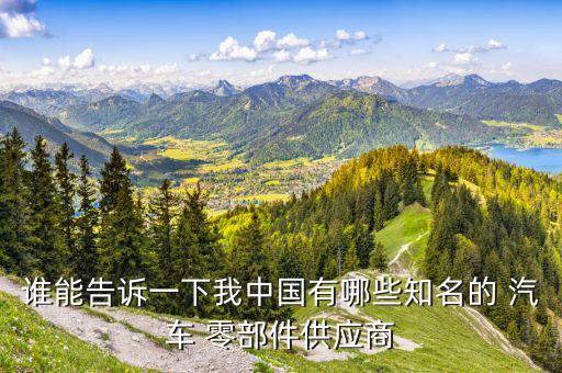 誰能告訴一下我中國(guó)有哪些知名的 汽車 零部件供應(yīng)商