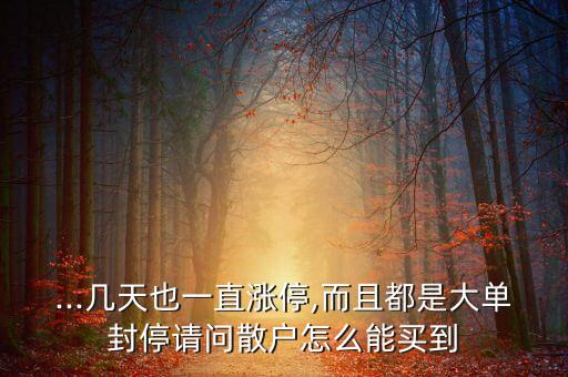 ...幾天也一直漲停,而且都是大單封停請(qǐng)問(wèn)散戶(hù)怎么能買(mǎi)到