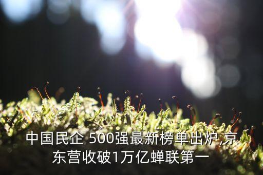 中國民企 500強(qiáng)最新榜單出爐,京東營(yíng)收破1萬億蟬聯(lián)第一