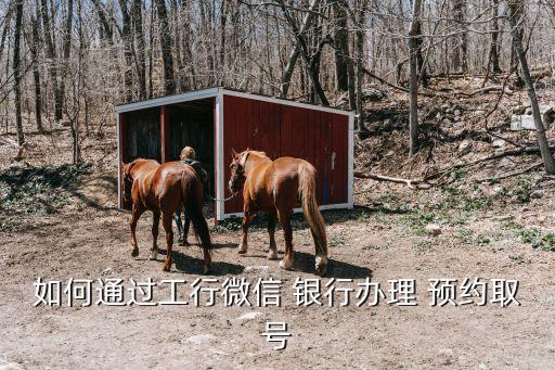 如何通過工行微信 銀行辦理 預約取號