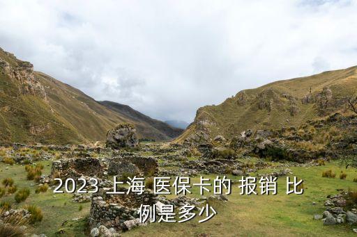 2023 上海 醫(yī)保卡的 報銷 比例是多少