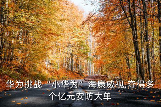 華為挑戰(zhàn)“小華為”?？低?奪得多個億元安防大單